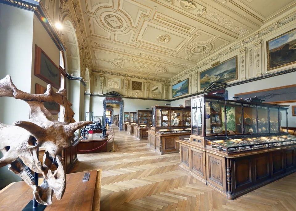 Naturhistorisches Museum, Ausstellungssaal Erdgeschichte