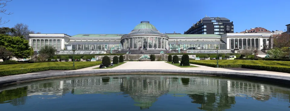 Botanischer Garten Brüssel, Orangerie, großes Becken