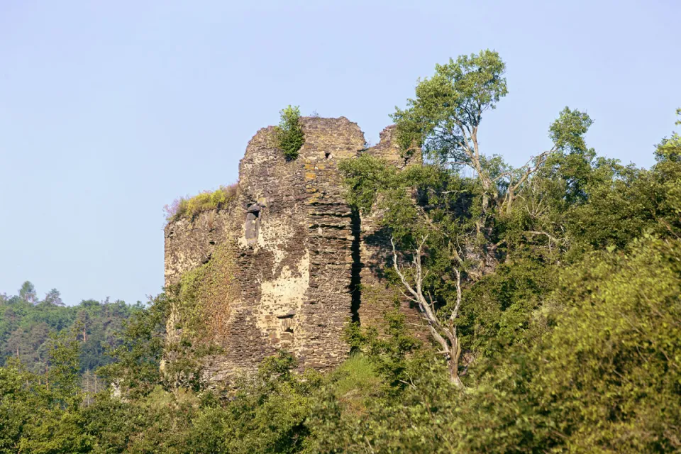 Burg Trutzeltz, Nordostansicht