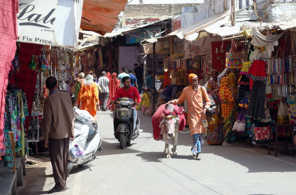 Hauptbasar in Pushkar