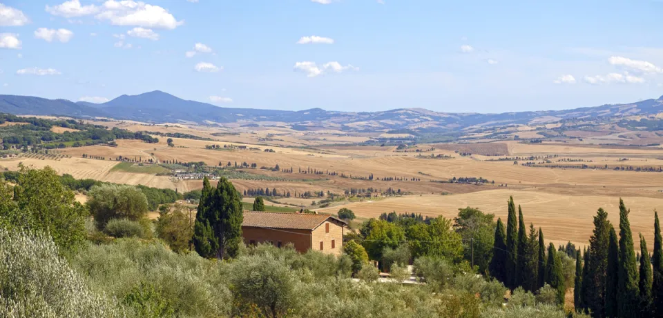 Val d'Orcia, nahe Pienza