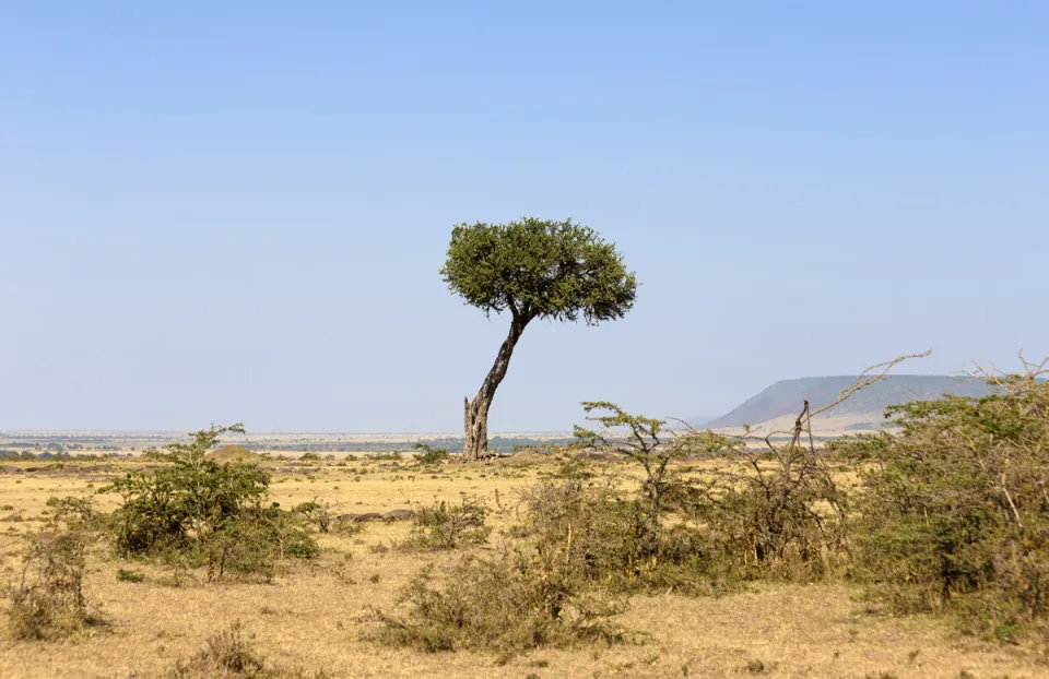 Landschaft des Schutzgebietes Mara-Nord