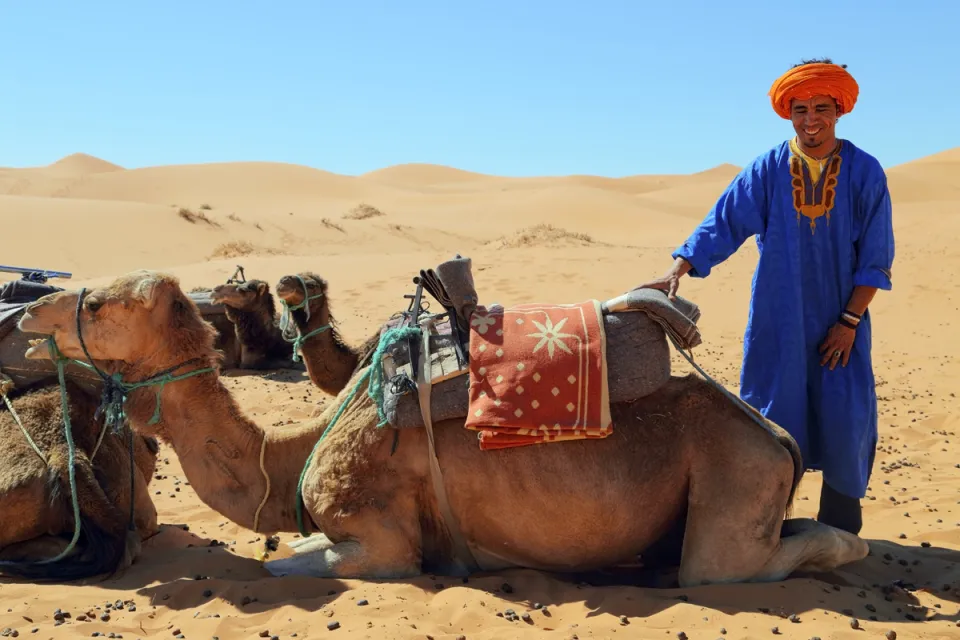 Kameltrekking-Führer, Erg Chebbi