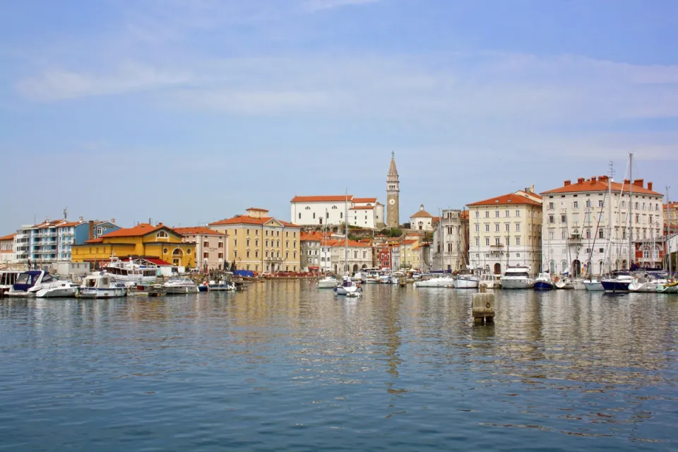 Blick auf Piran vom Hafen 