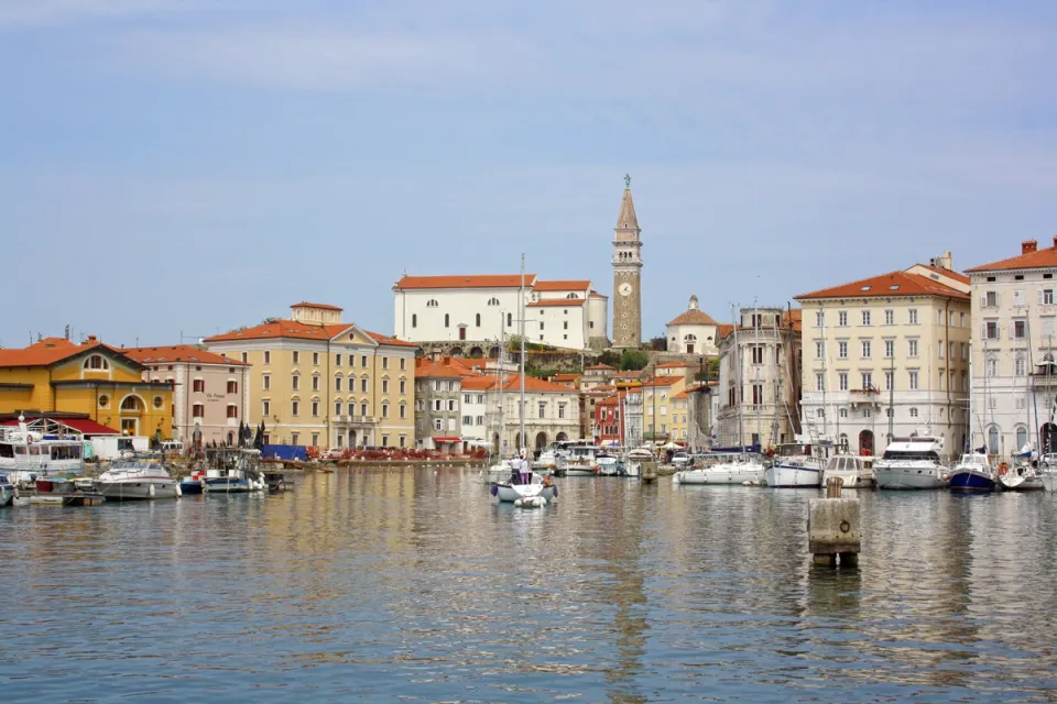 Aussicht vom Hafen auf Piran 