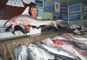 Fischhändler präsentiert den Fang des Tages