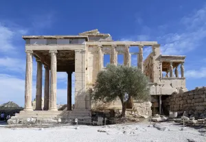 Athener Akropolis, Erechtheion, Westansicht mit heiligem Olivenbaum