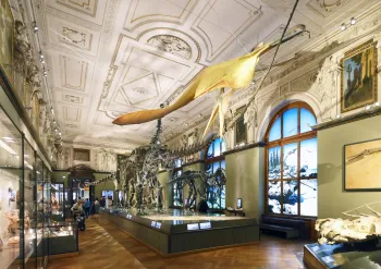 Naturhistorisches Museum, Ausstellungssaal Dinosaurier
