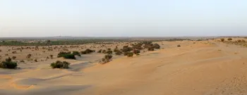 Thar Desert near Jaisalmer