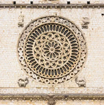 Basilika Sankt Franziskus von Assisi, Fensterrose