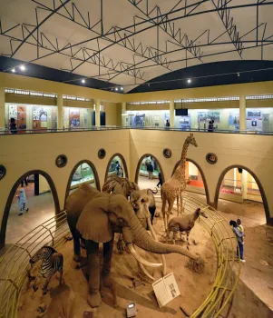 Nationalmuseum Nairobi, Großer Saal der Säugetiere
