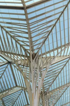 Bahnhof Lissabon Oriente, Detail des Daches