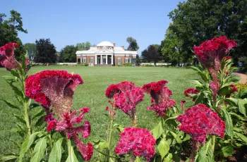 Monticello, Gärten